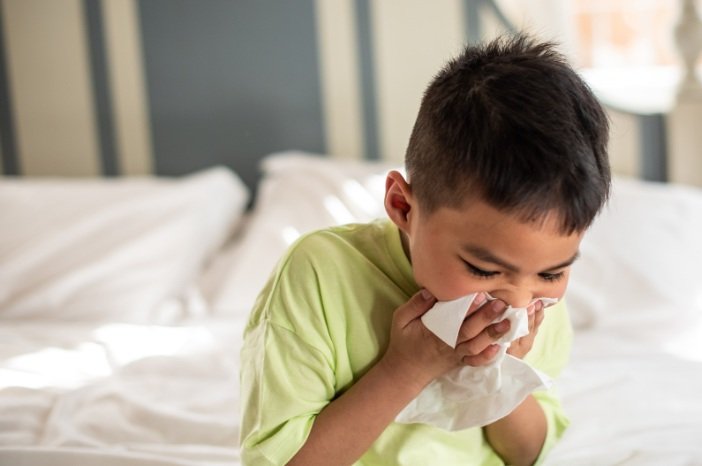 How Cleanliness Impacts Health The Hidden Dangers of Dust and Dirt
