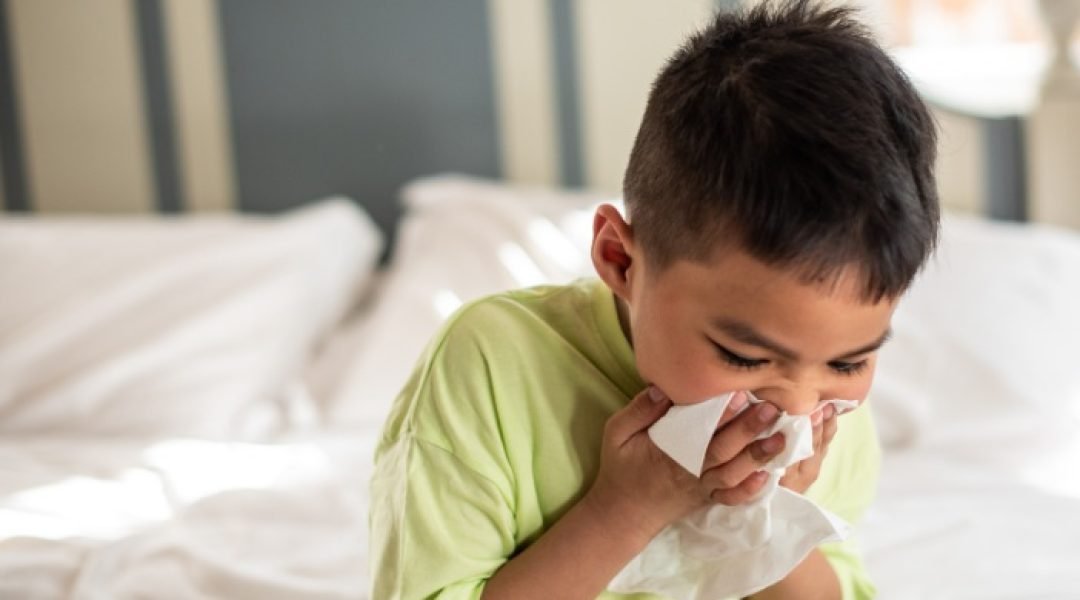 How Cleanliness Impacts Health The Hidden Dangers of Dust and Dirt